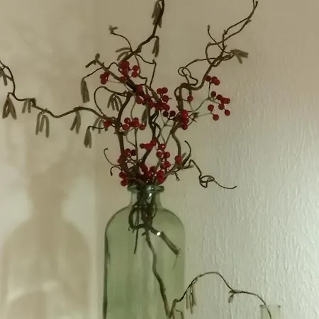 Erika Feriehus Mallnitz