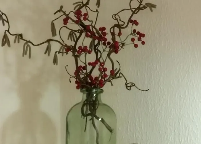 Erika Σπίτι διακοπών Mallnitz